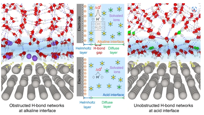 <a href='info/1008/3571.htm' target='_blank'><h4>Hydrogen bond network connectivity in the electric double layer dominates the kinetic pH effect in hydrogen electrocatalysis on Pt</h4><p>The origin of the large kinetic pH effect in hydrogen electrocatalysis, that is, the approximately two orders of magnitude decrease in reaction kinetics when moving from acid to alkaline, remains far from having a consensus. Here we show that it is the significantly different connectivity of hydrogen-bond networks in electric double layers that causes the large kinetic pH effect. This result has been ...</p></a>